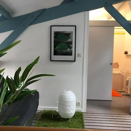 Maison Type Loft - Avec Parking En Plein Centre לה רושל